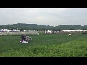 Jockeys injured in fall at Steeplechase