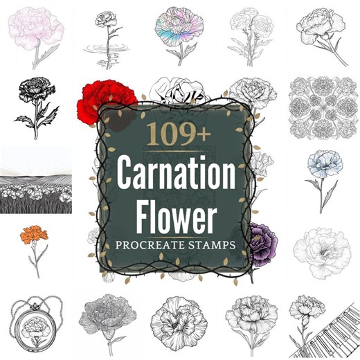 Carnation Flower Procreate Stamps | Pngs | 109+ Detailed Illustrations (digital Download) - Etsy