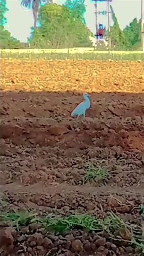 #love Google Internet explorer hahaha