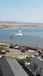 Looking for a holiday? 👀 Book at Chesil Beach Holiday Park to experience unbeatable coastal views in stunning Dorset 🏖️ | Chesil Beach Holiday Park