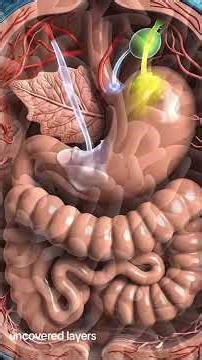 “Ever wonder what really happens the moment food enters your body? 🍽️✨ #digestion #science #fypシ #3d