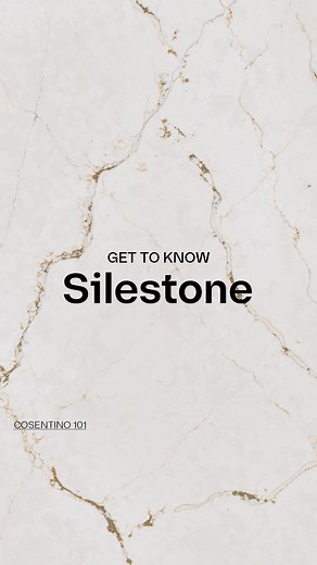 Cosentino Canada on Instagram: "Silestone has been a revolution in the kitchen for over 30 years. Since its release, we’ve expanded internationally and brought high-quality, sustainable surfaces with low silica, like Silestone XM, to homes worldwide. Here’s more to know about Silestone. https://www.cosentino.com/en-ca/silestone/ - Silestone est une révolution dans la cuisine depuis plus de 30 ans. Depuis son lancement, nous nous sommes développés à l'échelle internationale et avons introduit des