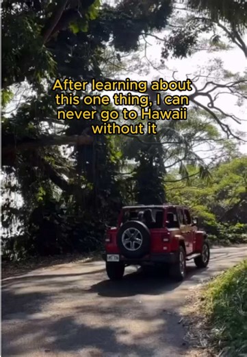 Affordable Car Rentals in Hawaii - No Booking Fees