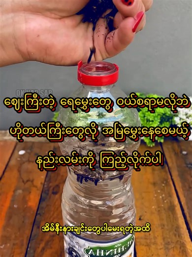 How to Make a 5-Star DIY Home Spray with Cloves