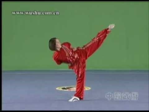 wushu elementary routine