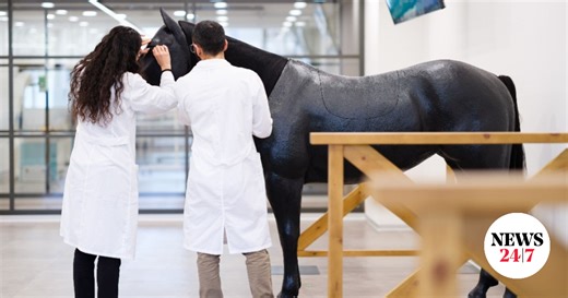 Καινοτόμες Προσεγγίσεις για την Υγεία των Ζώων: Σπουδές Κτηνιατρικής στην Κύπρο