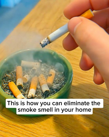 11 reactions | "This solution is a tiny-miracle device that...