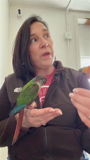 8.7K views · 414 reactions | Rico and Sparky are a pair of 13 year...