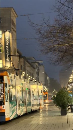 Germany 🇩🇪 4k street #europeantourism #germany #travel views