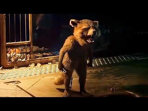 Rocket's Emotional Scenes - Guardians Of The Galaxy Vol 3