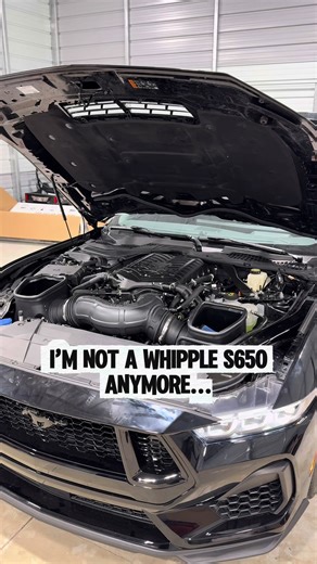 Whipple vs. Turbos for S650 Mustang