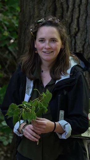 Master of Forestry Degree || The UMaine Grad School