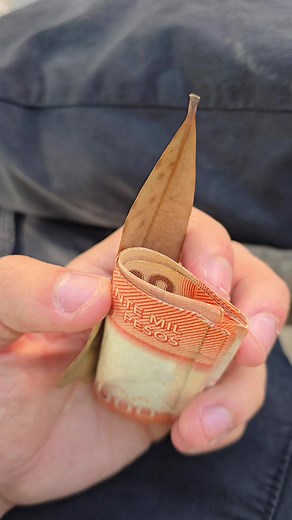 El Tío Patito y el Billete de Conejo de 20,000