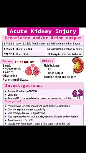 Understanding Acute Kidney Injury in Nursing
