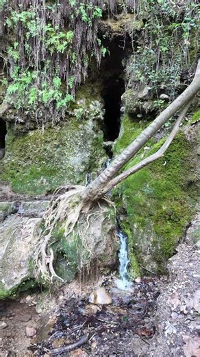 30 sec of calm 🌿 NATURE SOUNDS Waterfall in the Forest Natural Pulse Slow TV 4K video