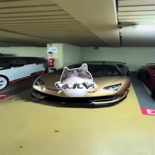 quality is destroyed Car edit:Rust_edit