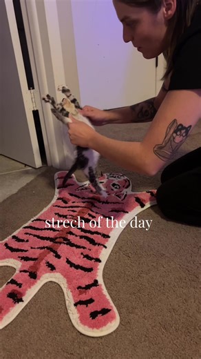 sleepy little dude #kitten #kittentok #cattok #catmom #bigstretch | kitten stretch