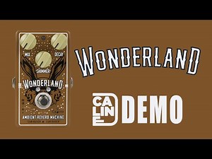 Caline - Wonderland Ambient Reverb Machine - Demo (5 Series)