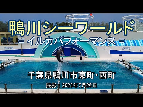 鴨川シーワールド = イルカパフォーマンス = [4K] Kamogawa Sea World = Dolphin Performance =