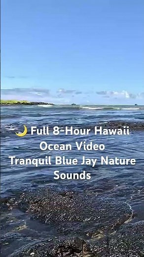 Hawaii Tide Pools 🌊 Big Island Ocean Waves on Lava Rocks | Sleep Sounds & TV Ambience