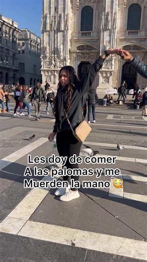 Le di de comer a las palomas de Milán y me mordían la mano con su pico y ya no quise 😭 porque me dolía | Anakarenvaa
