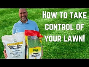 How to Control Fall Weeds in Your Lawn | Pro Tips Inside!