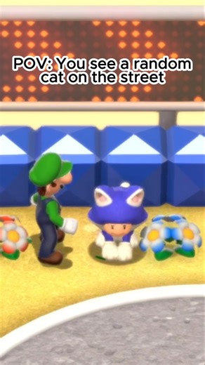 Cat 😺 #mario #sm3dw