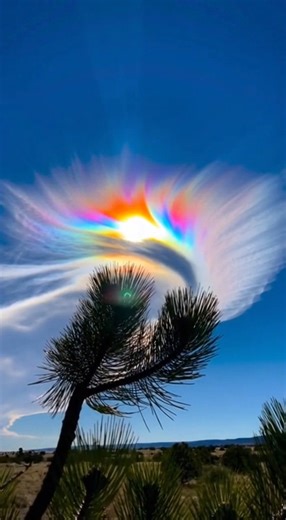 Extremely rare 'Fire Rainbow', technically known as a circumhorizontal arc, spotted over Texas 👀 I’m literally speechless… the sky just CAUGHT FIRE! This is a 1-in-a-million "Fire Rainbow" (Circumhorizontal Arc) caught over Texas and it looks like a portal to another world. Stop scrolling and just look at those colors. This only happens under the perfect conditions, and most people will NEVER see this in their lifetime. 🌈 Tag a friend who needs some good luck today! 👇✨ | Otherworld Earth