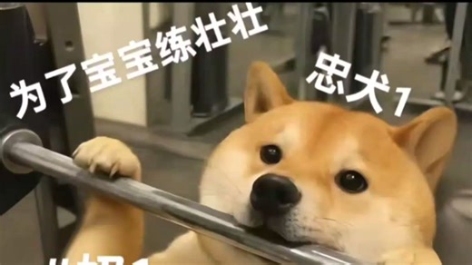 大数据BFB之熊1星努力练壮Week1版