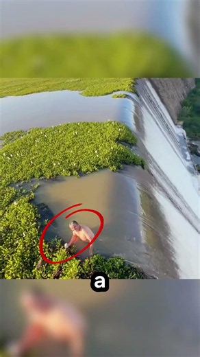 🌿 He challenged a "living" lake to save it