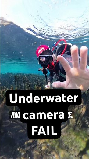 Ya gotta test those cameras first 📸🤿😵‍💫 #scubadiving #underwatervideo #actioncamera #howto