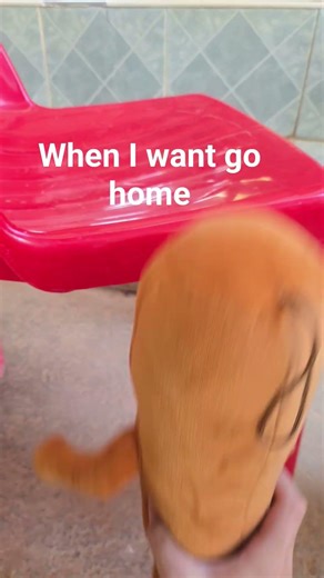 when I want good home