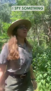 69K views · 1.3K reactions | There are plenty of amazing things you...