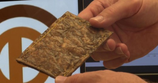 Lab-grown leather from a living cow could change the fashion industry