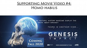 3.5K views · 68 reactions | Natural History Museums everywhere display line-ups of ape-to-human icons that supposedly show how humans evolved from ape-like creatures millions of years ago. One step in this line up is Homo habilis. This icon is not represented by a single complete skeleton and has only about 100 bones assigned to it. Is it evidence that humans evolved millions of years ago, or is it just an extinct ape? See more at: www.genesisimpact.com | Genesis Apologetics | Facebook