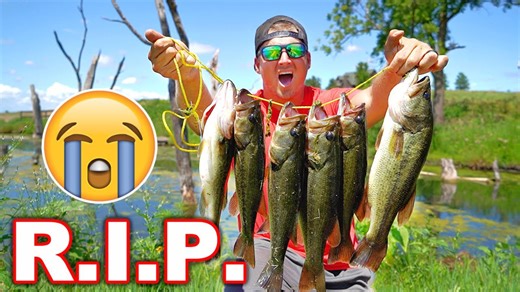 Removing invasive bass restores backyard pond’s fish population