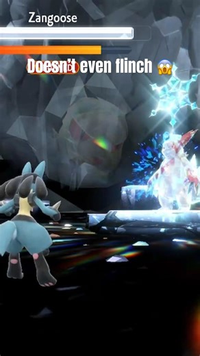 How to beat Terra Zangoose! Pokemon Scarlet