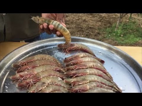 Cooking Big Prawns with their shells - Big Tiger Prawns with fried Mushrooms Curry