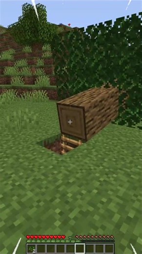 A premium secret room door that few people know about (Really!?) #Shorts