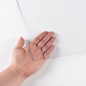 [Hot Item] Premium Transparent ESD PVC Film Rolls for Cleanroom Applications