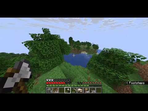 I Discovered(?) Something in my Minecraft World