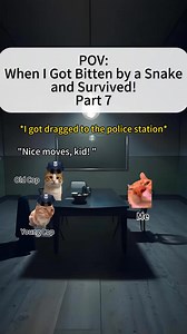 126K views · 3.2K reactions | POV: When I Got Bitten by a Snake and Survived! Part 7 #CatsOnReels #fypシ | MemesInternational | Facebook