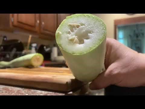 CUCUZZA SQUASH - Two Ways!