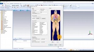 شبیه‌سازی اندام موجود زنده در نرم افزار CST با فرمت Voxel