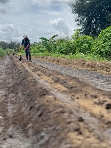 Johnny's Selected Seeds on Reels