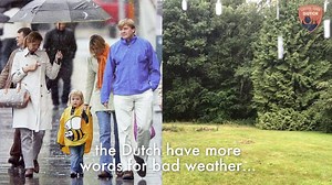 70K views · 1.6K reactions | How to survive the Dutch climate 藍☔️ The Netherlands is a pretty great country, except for this one thing: the climate. Here's how to survive... the Dutch weather! ☔️ : @Survival Guide to the Dutch #netherlands #dutch | Dutch Culture | Facebook