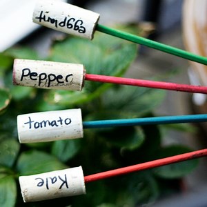 10 Clever Things to Make with Chopsticks