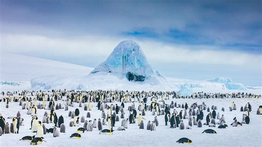 5 Misconceptions About Antarctica, Debunked