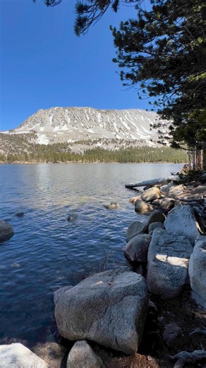 25K views · 736 reactions | Rock Creek Lake is ice free and Rock Creek Road is OPEN for the season!! (Paved and clear until Rock Creek Pack Station) Rock Creek Lakes Resort opens for the season this Friday May 24th. Rock Creek Lodge is open for reservations now by calling 760-935-4170 with the cafe projected to open in early June!  | Mono County Tourism | Facebook