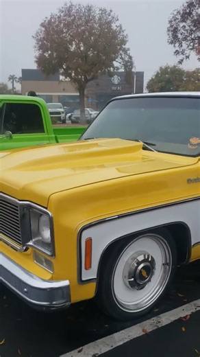 1965 & 78 Chevy C10 Pick-up ✌🤠🇺🇲